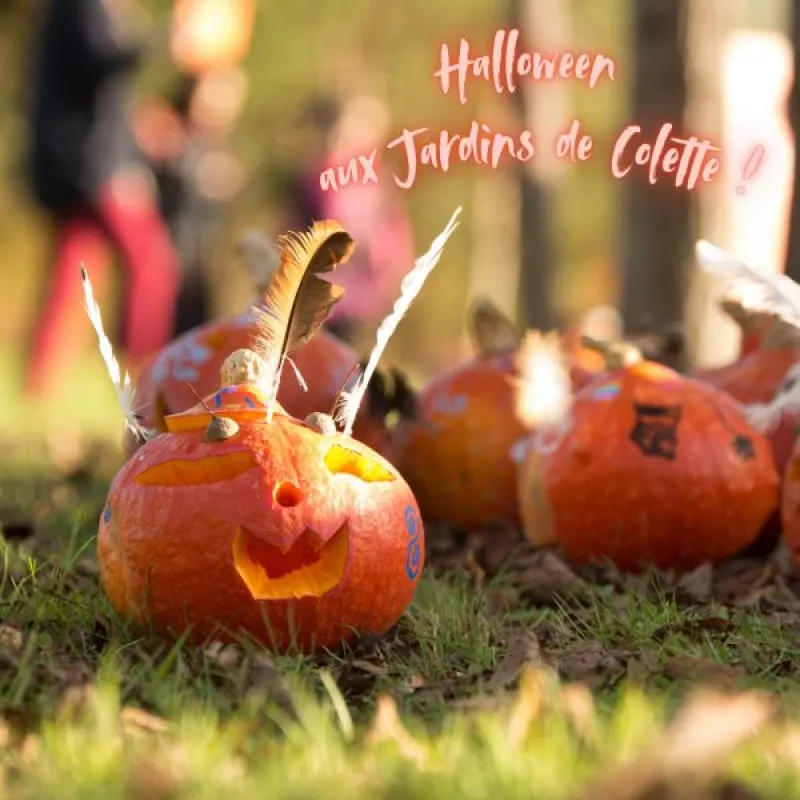 Halloween Aux Jardins de Colette : Atelier Déco de Cucurbitacées