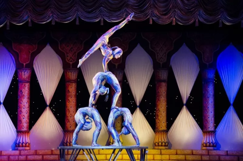 Stage Cirque et Acrobaties-Mjc