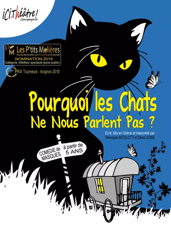 Pourquoi les Chats Ne Nous Parlent Pas ?