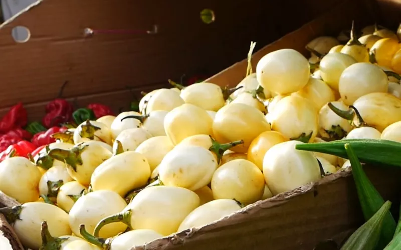 Trésors Culinaires de la Goutte D’or