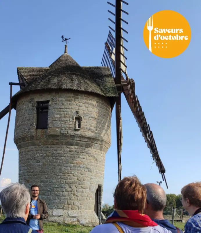 Visite du Moulin de la Falaise-Saveurs d'Octobre