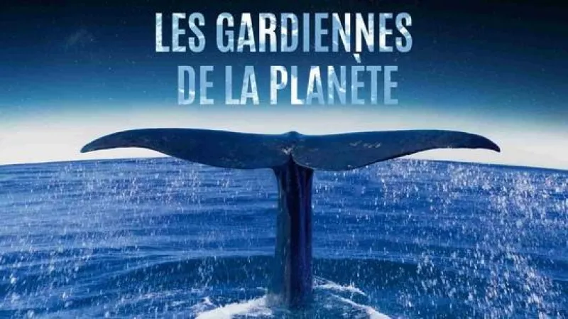 Projection  : « Les Gardiennes de la Planète »