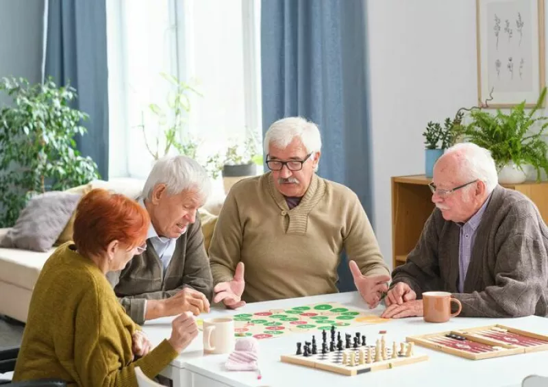 Après-Midi Ludique Personnes Âgées