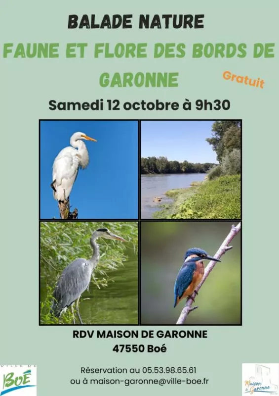 Balade Faune et Flore de Garonne