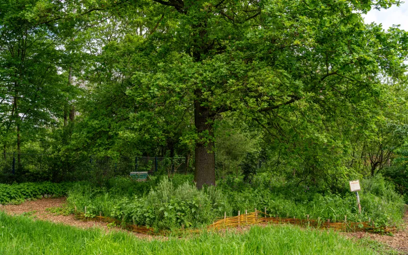 La Biodiversité à Paris