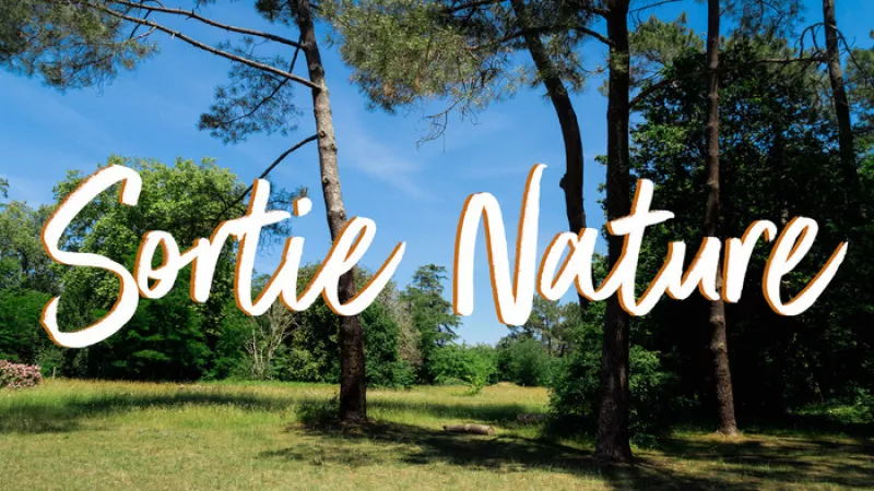 Sortie Nature