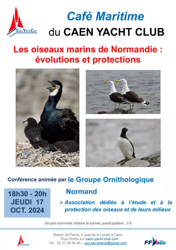 Les Oiseaux Marins de Normandie : Évolutions et Protections