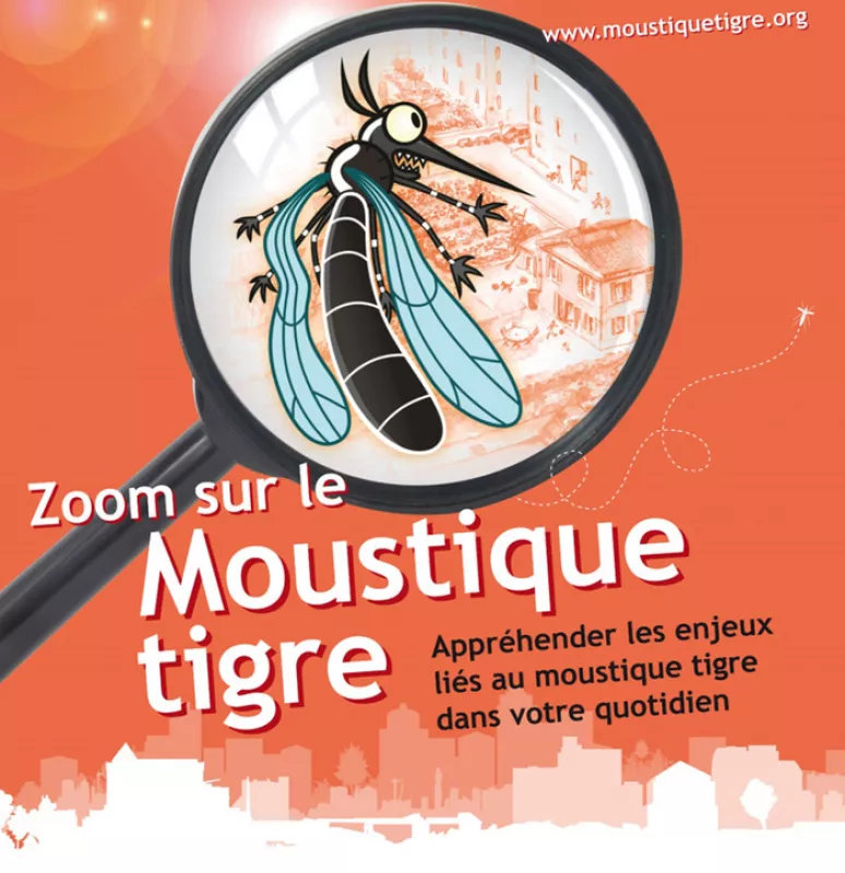 Atelier du Groupe «Moustique» Tigre