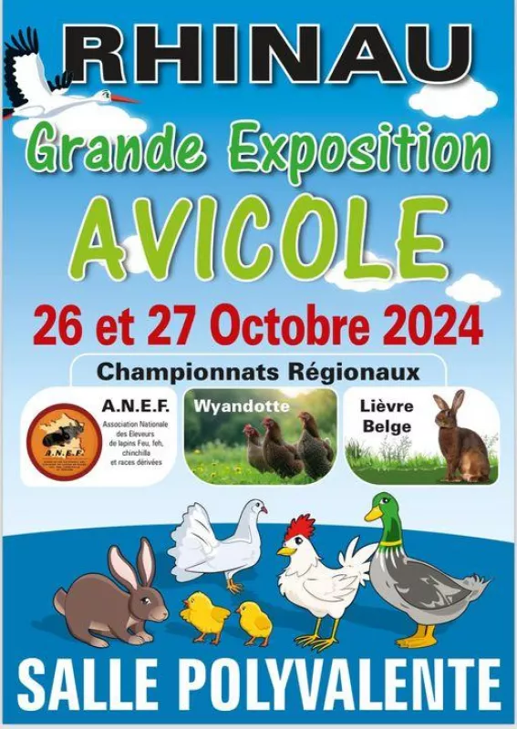 Exposition Avicole Rhinau-Championnats Régionaux