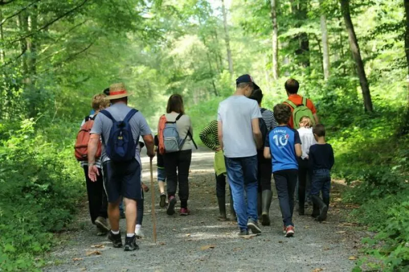 Sortie Nature «les Habitants de Nos Arbres»