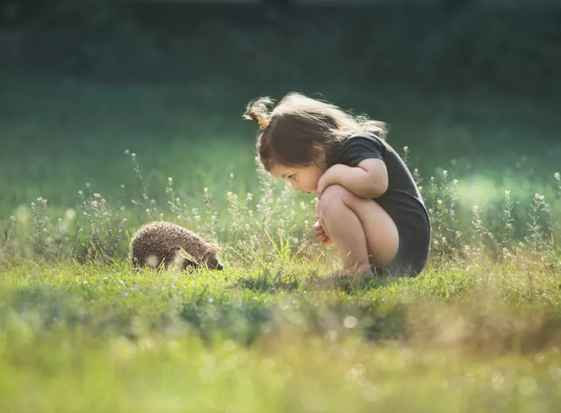 Le Bébé, un Animal Social