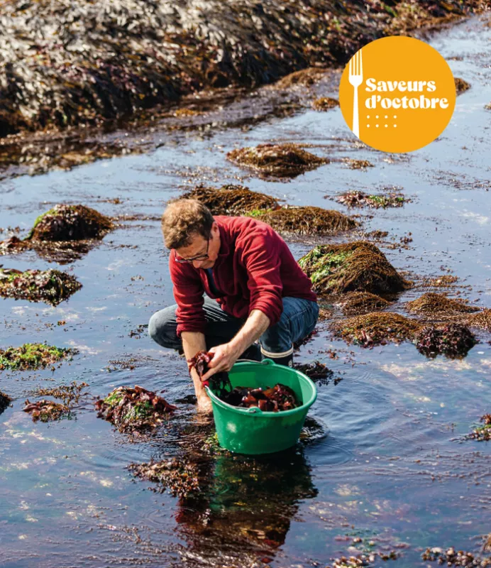 Atelier Initiation à la Cueillette d'Algues-Saveurs d'Octobre