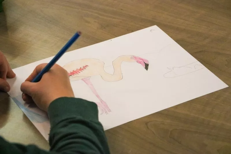 Atelier Dessin/7 à 12 Ans