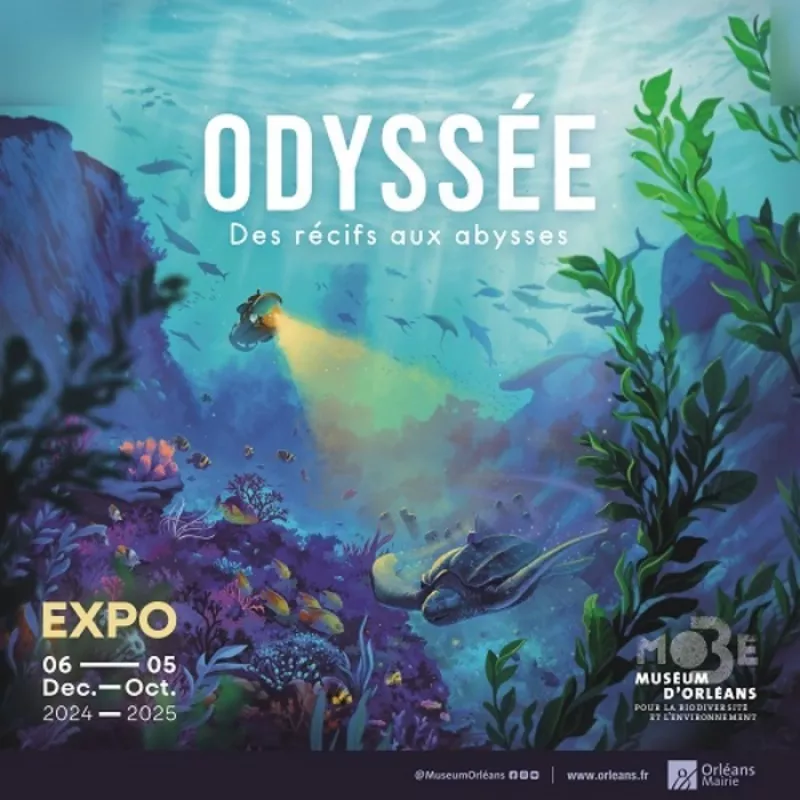 Exposition : Odyssée, des Récifs Aux Abysses