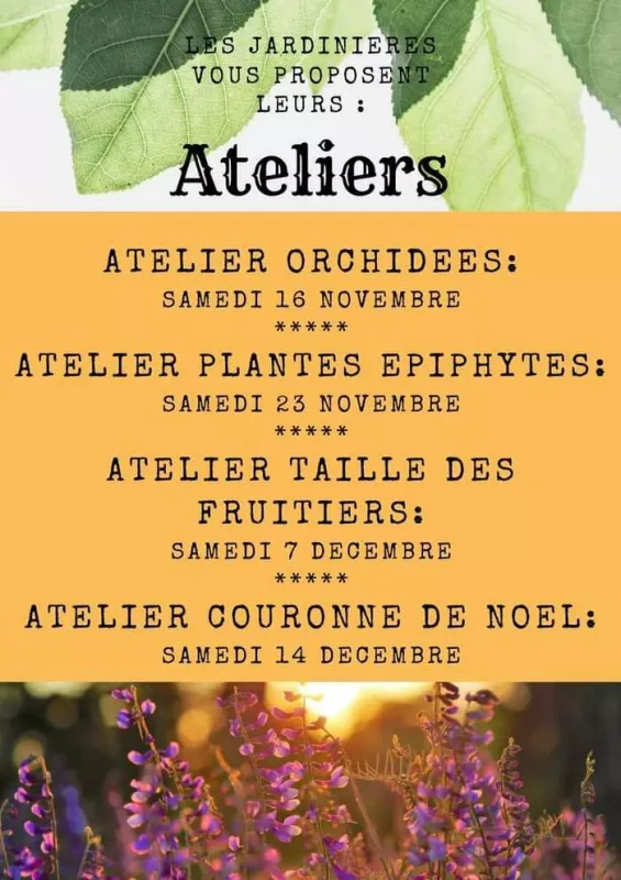 Atelier «Plantes Épiphytes»