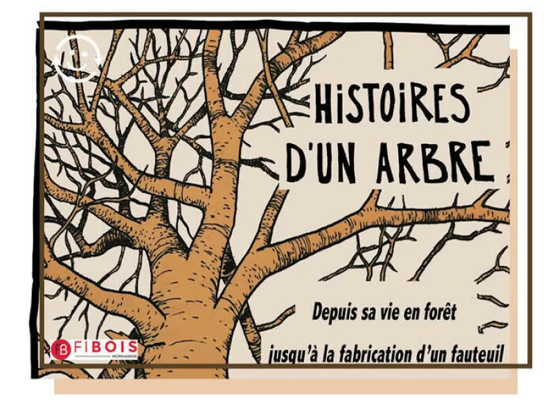 Exposition «Histoires D’un Arbre»