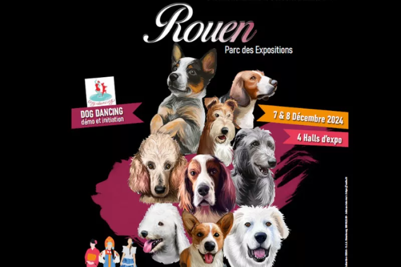 Exposition Canine Internationale