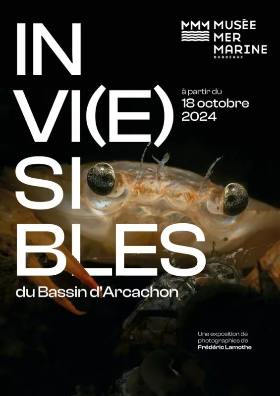 Exposition «Invi(E)Sibles du Bassin d'Arcachon»