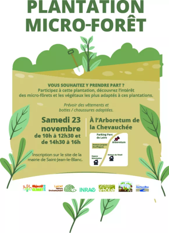 Plantation d'une Micro Forêt