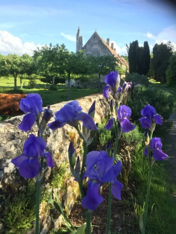 Visite Guidée de l'Abbaye Saint-André en Gouffern