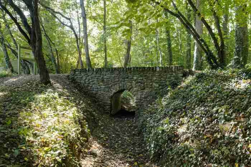 Visite du Réseau Hydraulique du Domaine Royal de Meudon en Forêt de Meudon