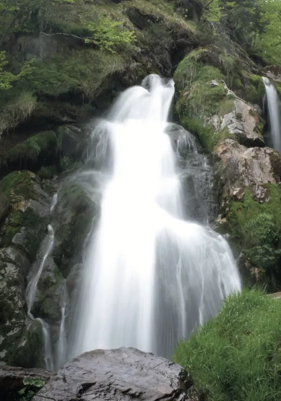 Exposition «Eaux Vives, Torrents et Cascades de Montagne»