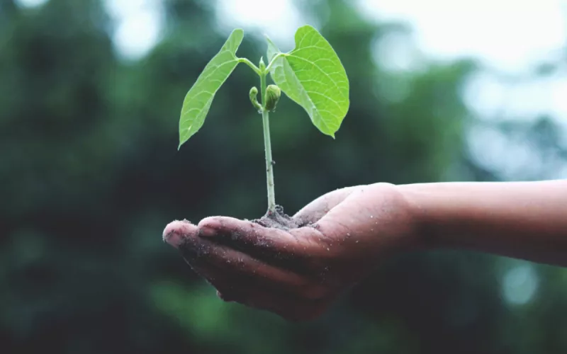 Atelier Scientifique Jeune Public  : des Plantes Très Malignes