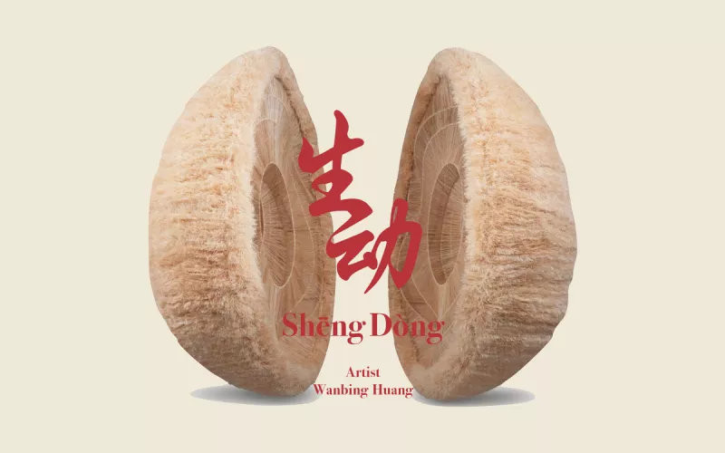 Exposition «生动 Shēng Dòng» de Wanbing Huang