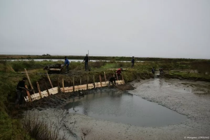 Visite-Travaux d'Automne au Marais