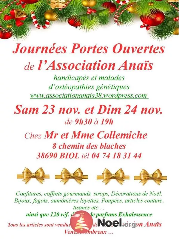 Exposition Noël Jpo de l'Association Anaïs