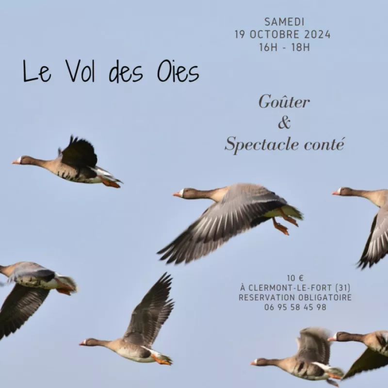 Spectacle Conté «le Vol des Oies»