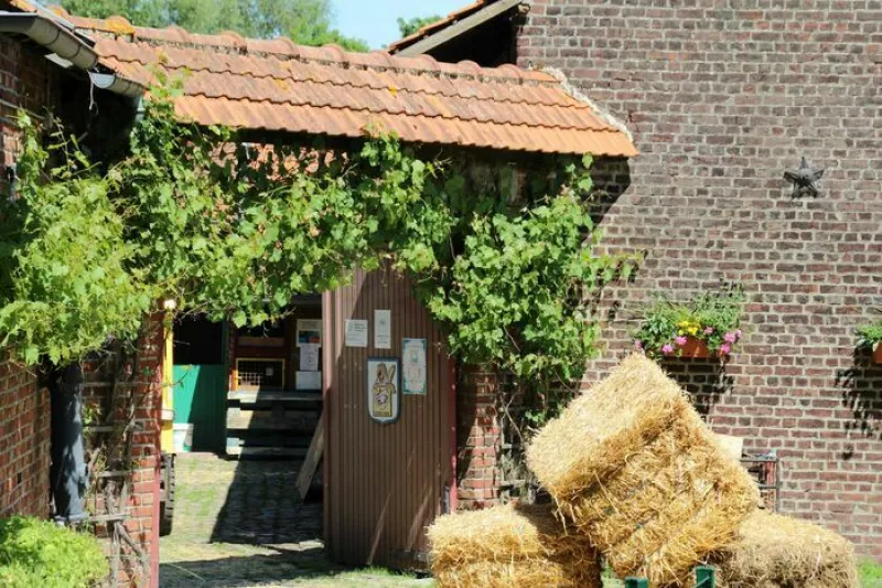 Visite de la Ferme Pédagogique