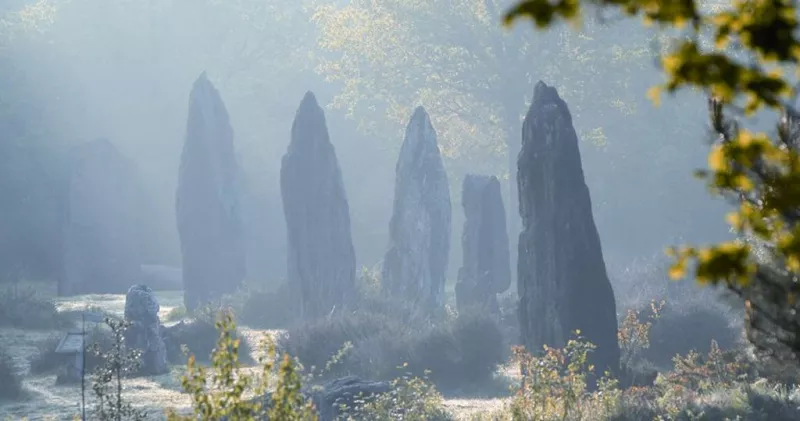 Les Menhirs de Monteneuf-Archéosite de Brocéliande