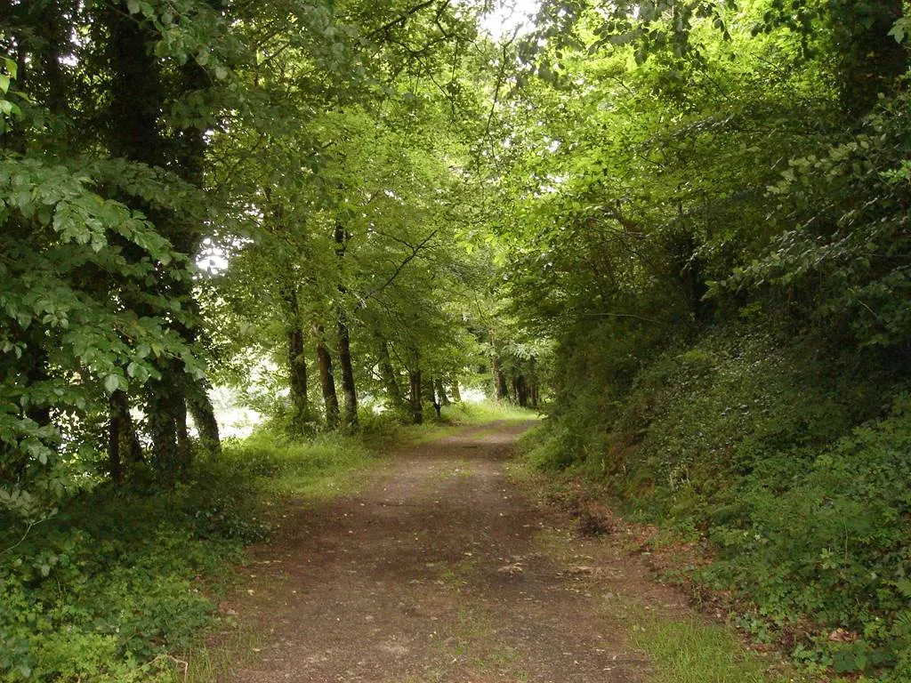 Forêt du Hingair