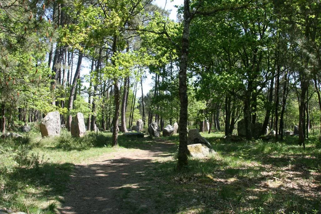Forêt du Varqués