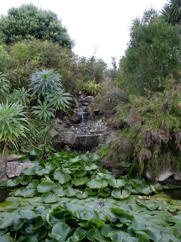 Jardin Exotique et Botanique de Roscoff