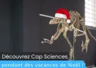 Découvrez le Programme des Vacances de Noël à Cap Sciences 