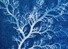 Exposition : Cyanotypes «Poético-Botaniques»