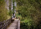 Balade Naturaliste : Patrimoine Naturel