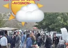 Grand Marché Aux Puces de Bonpas-Avignon -