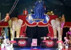 Spectacle de Magie au Musée du Cirque et de l'Illusion