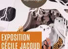 Oh  Pop-Up : Exposition Cécile Jacoud