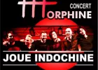 Concert Morphine Joue Indochine