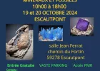 26Ème Salon Minéraux et Fossiles