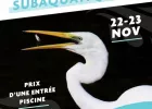 Exposition Subaquatique à la Presqu'Île