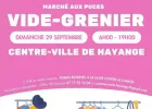 Vide Grenier Marché Aux Puces