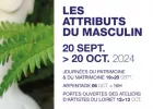 Exposition «les Attributs du Masulin»