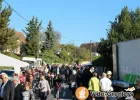 Brocante D’automne à Brenouille