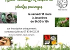 Atelier Cueillette et Cuisine de Plantes Sauvages