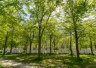 Les Visites Thématiques du Parc Floral